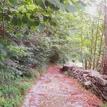 Tatil Evi La Mulattiera - Vista Baveno