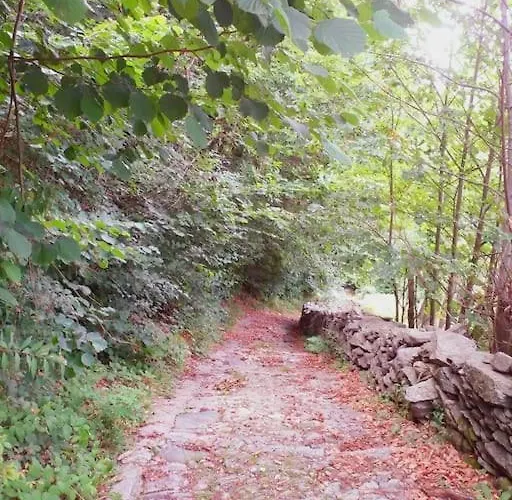 Tatil Evi La Mulattiera - Vista Baveno