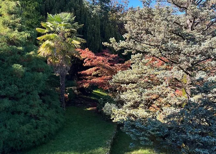 Tatil Evi La Mulattiera - Vista Baveno